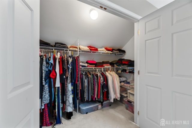 18 Stout Dr, Hillsborough, NJ 08844 - spacious closet with carpet floors