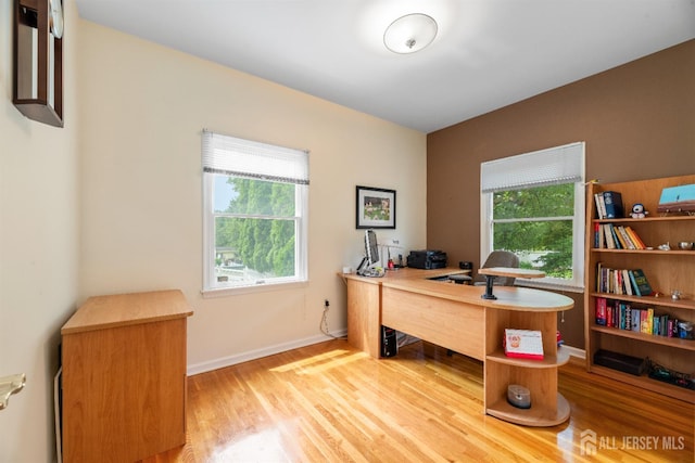 18 Stout Dr, Hillsborough, NJ 08844 - office with wood finished floors and baseboards