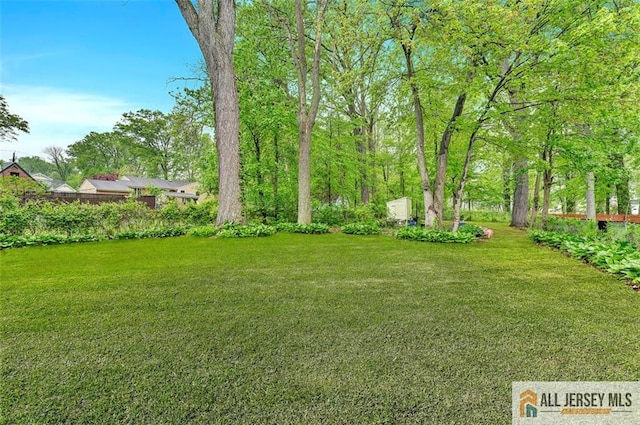 91 Amherst Ave, Colonia, NJ 07067 - view of green lawn