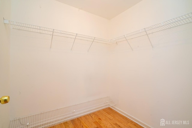 24 Chesapeake Rd, South Brunswick, NJ 08852 - walk in closet with light wood finished floors