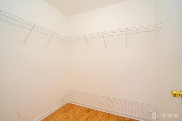 24 Chesapeake Rd, South Brunswick, NJ 08852 - spacious closet featuring light wood-type flooring