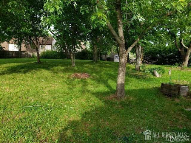 view of yard featuring a shed