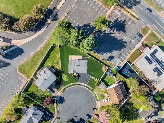 drone / aerial view