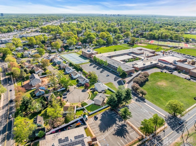 drone / aerial view