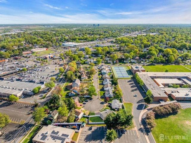 drone / aerial view