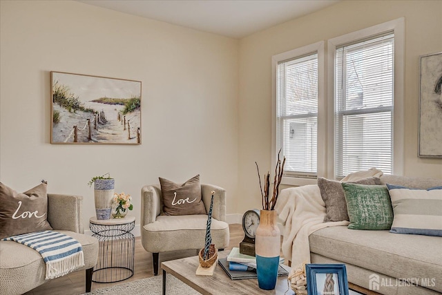 living room with hardwood / wood-style flooring