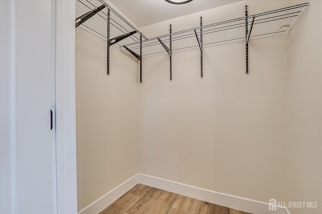 walk in closet featuring hardwood / wood-style flooring