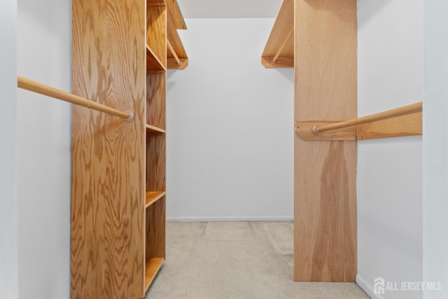 spacious closet with light colored carpet