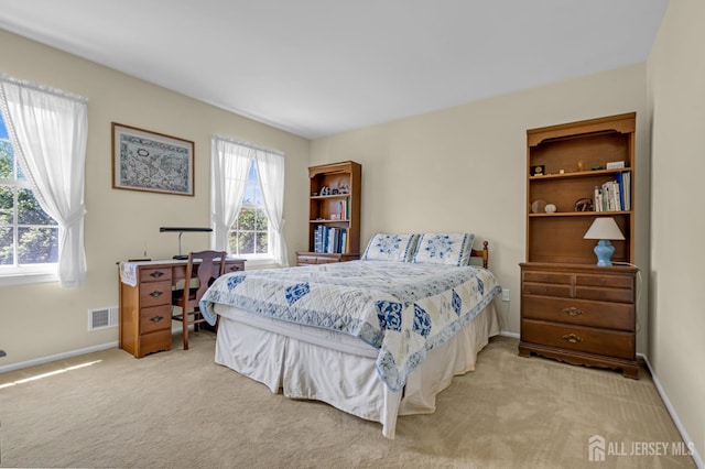 21 Van Hise Ct, East Brunswick, NJ 08816 - bedroom featuring light carpet