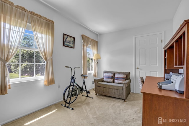 21 Van Hise Ct, East Brunswick, NJ 08816 - office with light colored carpet and baseboards