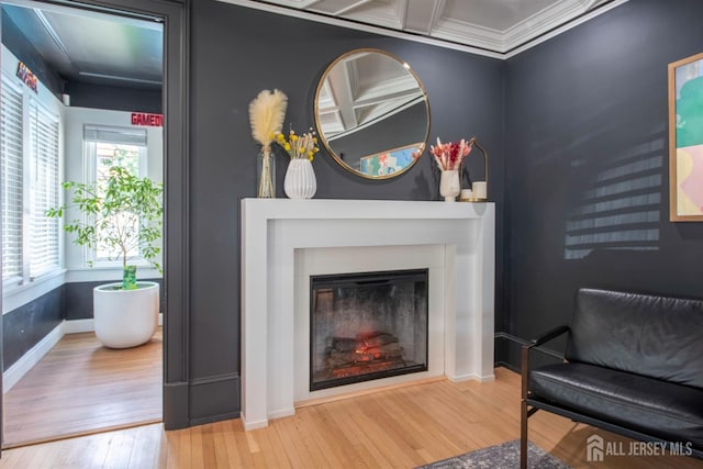 10 N 8th Ave N, Highland Park, NJ 08904 - photo 11