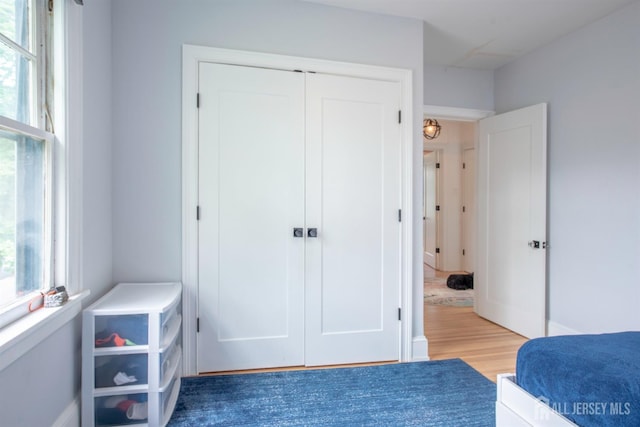 10 N 8th Ave N, Highland Park, NJ 08904 - photo 24