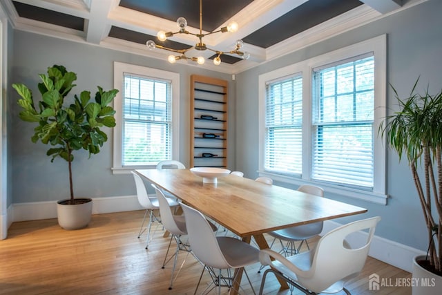 10 N 8th Ave N, Highland Park, NJ 08904 - photo 5