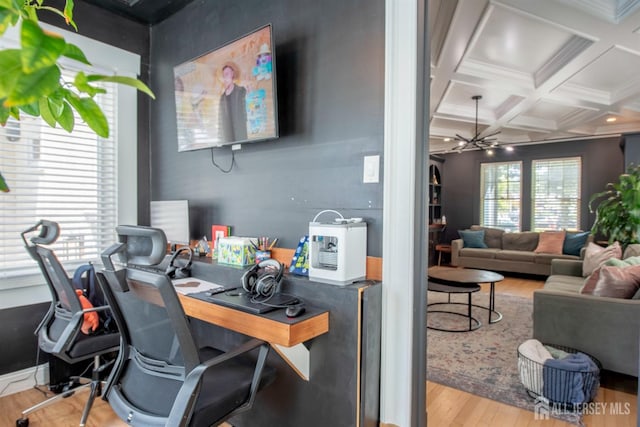 10 N 8th Ave N, Highland Park, NJ 08904 - photo 13