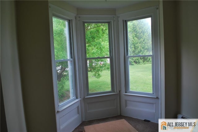 entryway with plenty of natural light and dark colored carpet
