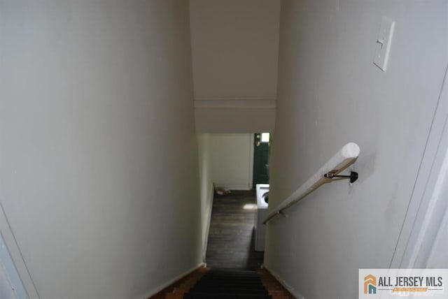 stairway featuring wood finished floors