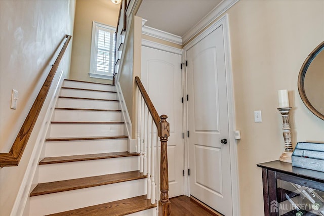 26 Kentnor St, Metuchen, NJ 08840 - photo 16