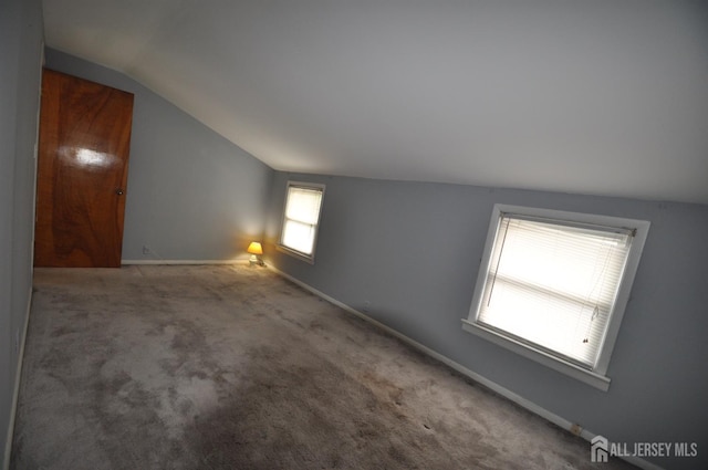 19 Clark Pl, Avenel, NJ 07001 - bonus room featuring lofted ceiling and carpet floors