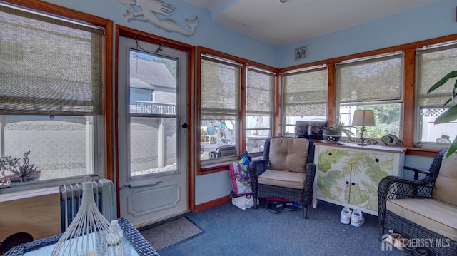 110 N Pine Ave, South Amboy, NJ 08879 - sunroom featuring carpet and baseboards