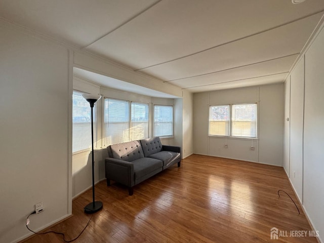 living area featuring wood-type flooring