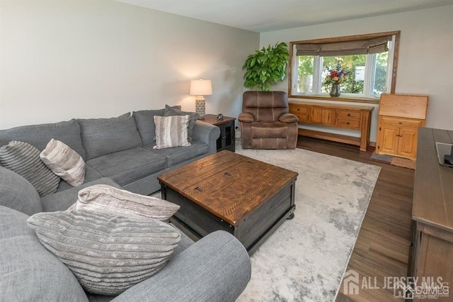 living room with dark wood-style floors