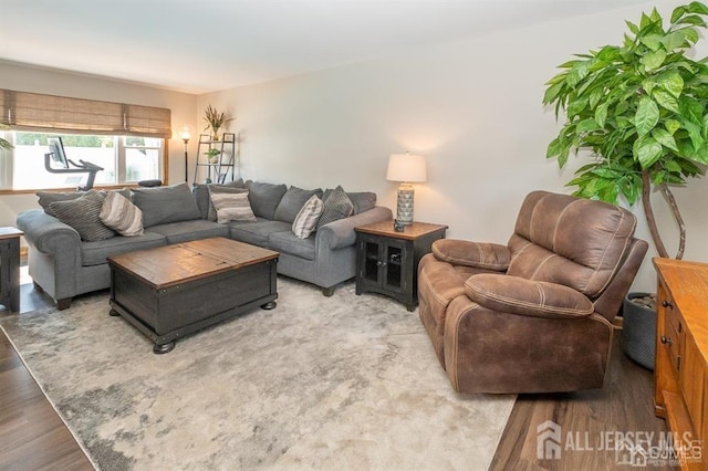 living area featuring wood finished floors