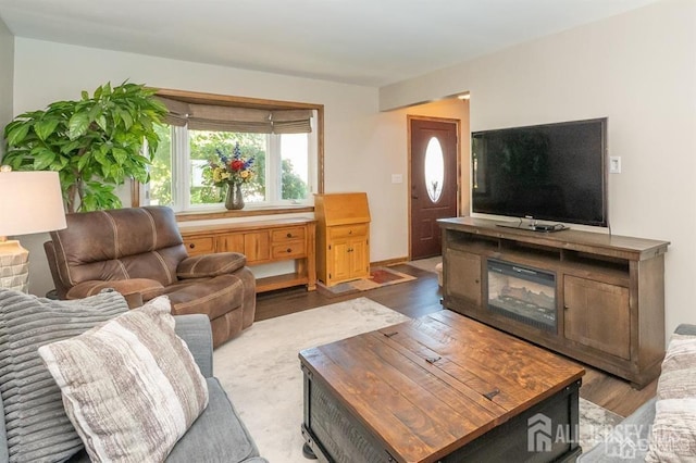 living area featuring wood finished floors