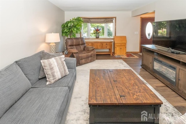 living room with wood finished floors