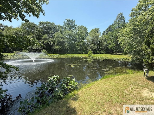 0-58B Essex Rd, Monroe, NJ 08831 - photo 21