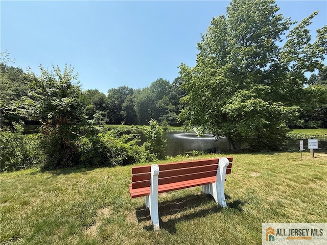 0-58B Essex Rd, Monroe, NJ 08831 - photo 20