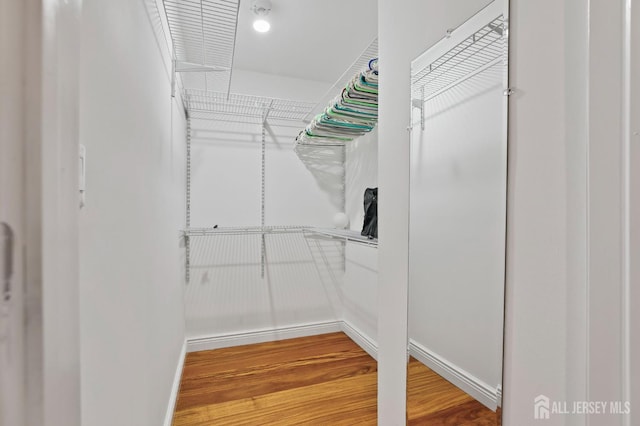 16 Campbell Rd, South Brunswick, NJ 08824 - photo 29