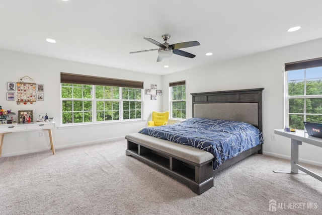 106 Ellsworth Way S, Brunswick, NJ 08852 - bedroom featuring multiple windows, recessed lighting, carpet floors, and baseboards