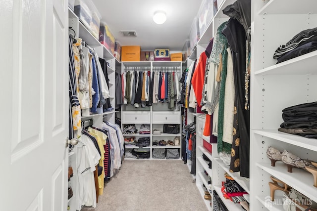 106 Ellsworth Way S, Brunswick, NJ 08852 - walk in closet with carpet floors
