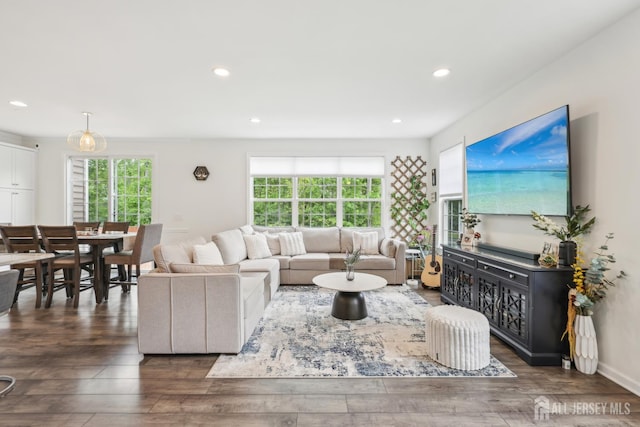 106 Ellsworth Way S, Brunswick, NJ 08852 - living room featuring wood finished floors and recessed lighting