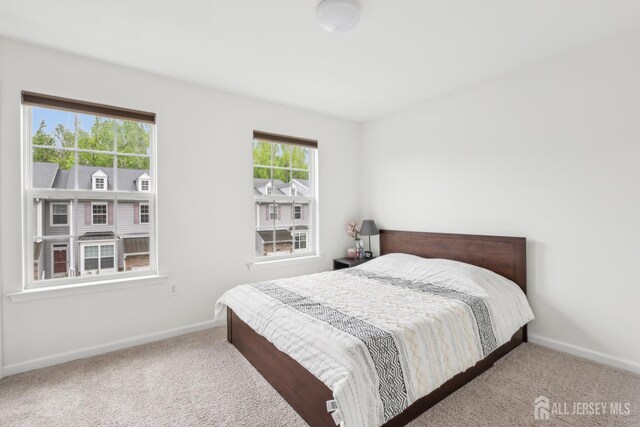 106 Ellsworth Way S, Brunswick, NJ 08852 - bedroom featuring carpet flooring and baseboards