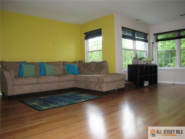 living room with hardwood / wood-style floors