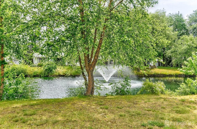 view of water feature