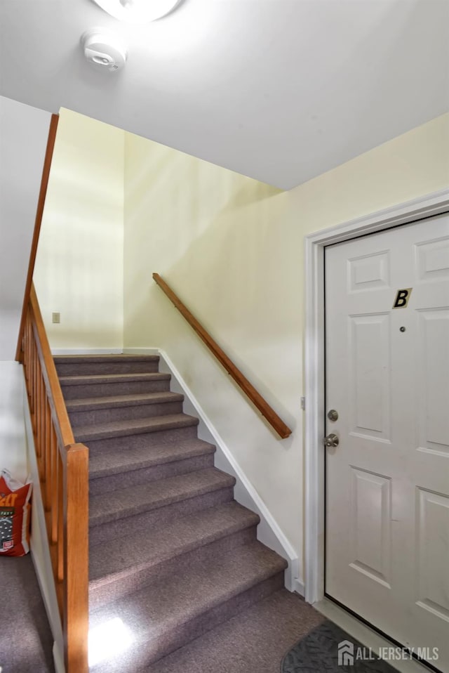 staircase with carpet