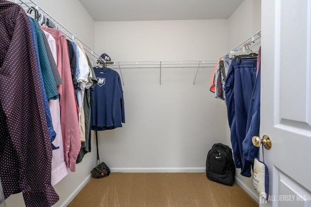 15 Heather Ct, Mansfield, NJ 08022 - spacious closet featuring carpet flooring