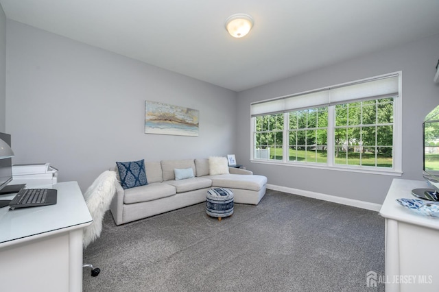 15 Heather Ct, Mansfield, NJ 08022 - living area with carpet flooring, baseboards, and an office area