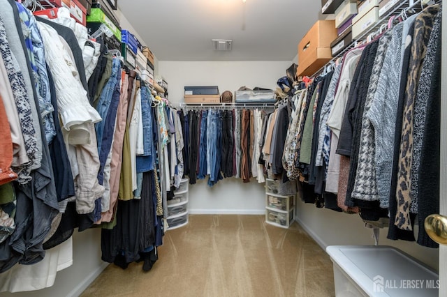 15 Heather Ct, Mansfield, NJ 08022 - walk in closet with light carpet