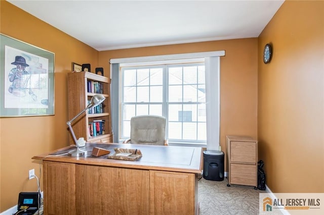 17 Alexis Ln, Edison, NJ 08820 - photo 15