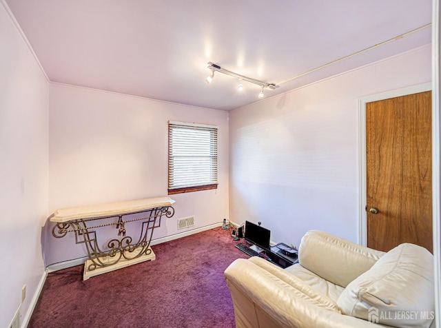 sitting room featuring rail lighting and carpet floors