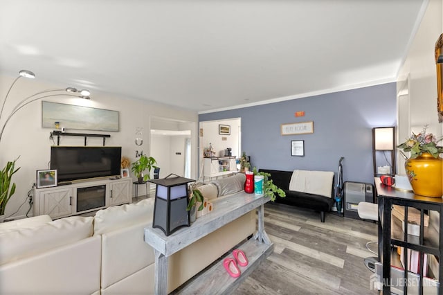 living room with light wood-type flooring