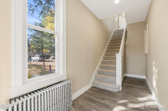 staircase featuring wood-type flooring and radiator