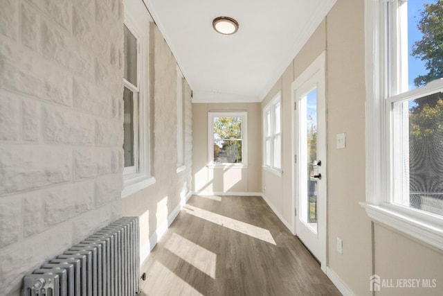 sunroom / solarium featuring radiator