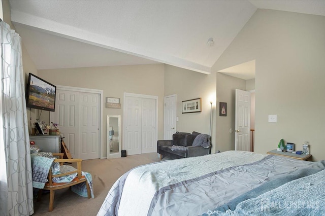 carpeted bedroom with two closets and high vaulted ceiling