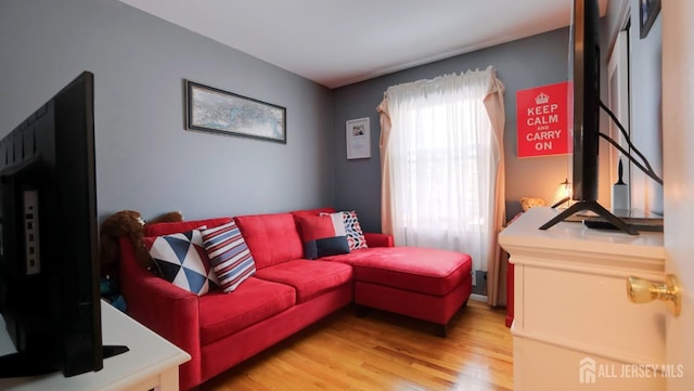 living area with light wood finished floors