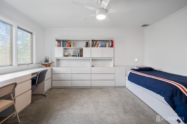 16 Darby Rd, East Brunswick, NJ 08816 - bedroom with light carpet, a desk, and a ceiling fan