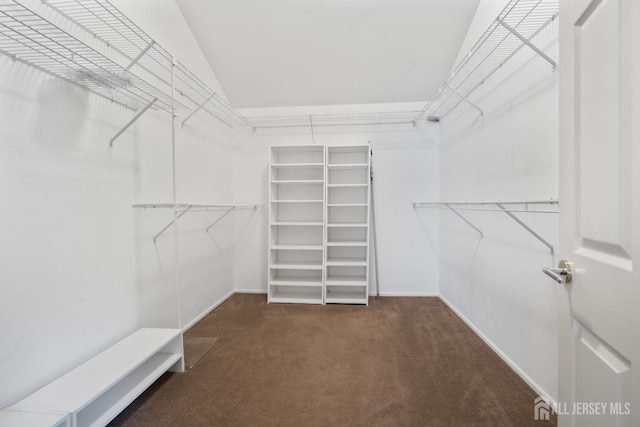 16 Darby Rd, East Brunswick, NJ 08816 - walk in closet with carpet floors and lofted ceiling